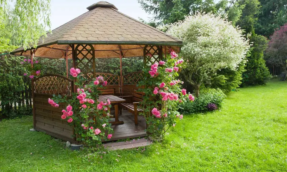 Pergola en bois ornée de roses roses, installée dans une pelouse verdoyante. Idéal pour savoir comment fixer une pergola dans l'herbe.