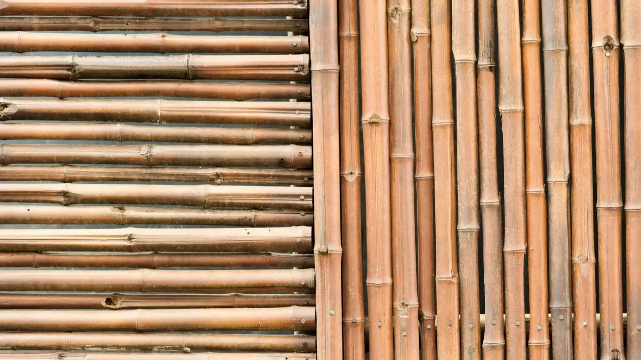 Deux styles de canisses pour pergola : l'une horizontale, l'autre verticale, toutes deux en bambou naturel.