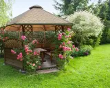 Pergola en bois ornée de roses roses, installée dans une pelouse verdoyante. Idéal pour savoir comment fixer une pergola dans l'herbe.
