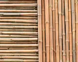 Deux styles de canisses pour pergola : l'une horizontale, l'autre verticale, toutes deux en bambou naturel.