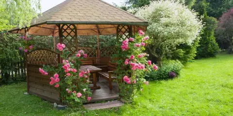 Pergola en bois ornée de roses roses, installée dans une pelouse verdoyante. Idéal pour savoir comment fixer une pergola dans l'herbe.