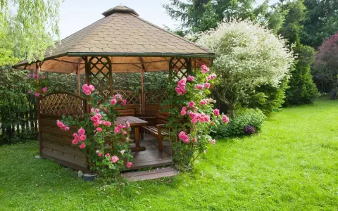 Pergola en bois ornée de roses roses, installée dans une pelouse verdoyante. Idéal pour savoir comment fixer une pergola dans l'herbe.