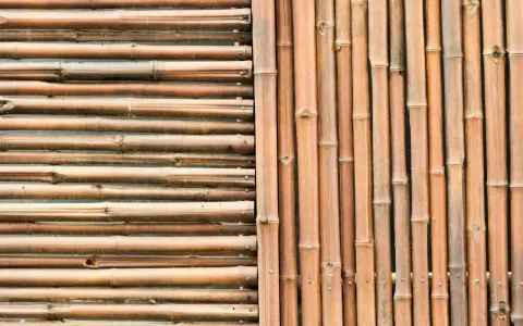 Deux styles de canisses pour pergola : l'une horizontale, l'autre verticale, toutes deux en bambou naturel.