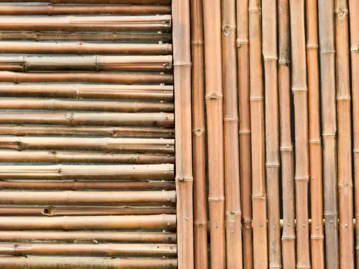 Deux styles de canisses pour pergola : l'une horizontale, l'autre verticale, toutes deux en bambou naturel.