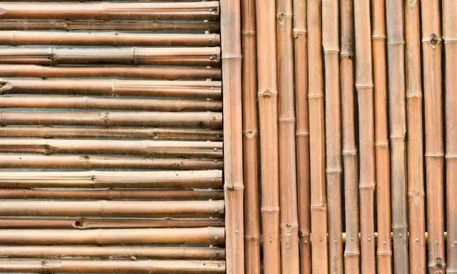 Deux styles de canisses pour pergola : l'une horizontale, l'autre verticale, toutes deux en bambou naturel.